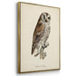 French Owls I - Floater Framed Canvas Set