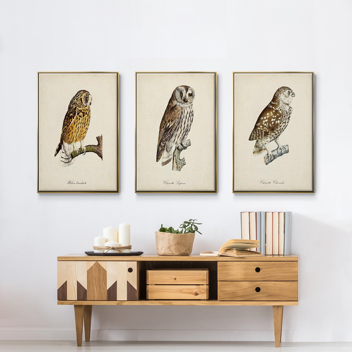 French Owls I - Floater Framed Canvas Set