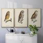 French Owls I - Floater Framed Canvas Set