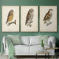 French Owls I - Floater Framed Canvas Set