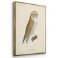 French Owls IV - Floater Framed Canvas Set
