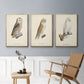 French Owls IV - Floater Framed Canvas Set