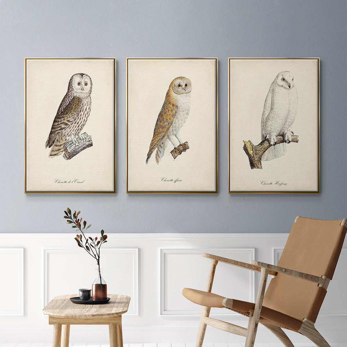 French Owls IV - Floater Framed Canvas Set