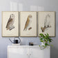 French Owls IV - Floater Framed Canvas Set