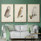 French Owls IV - Floater Framed Canvas Set