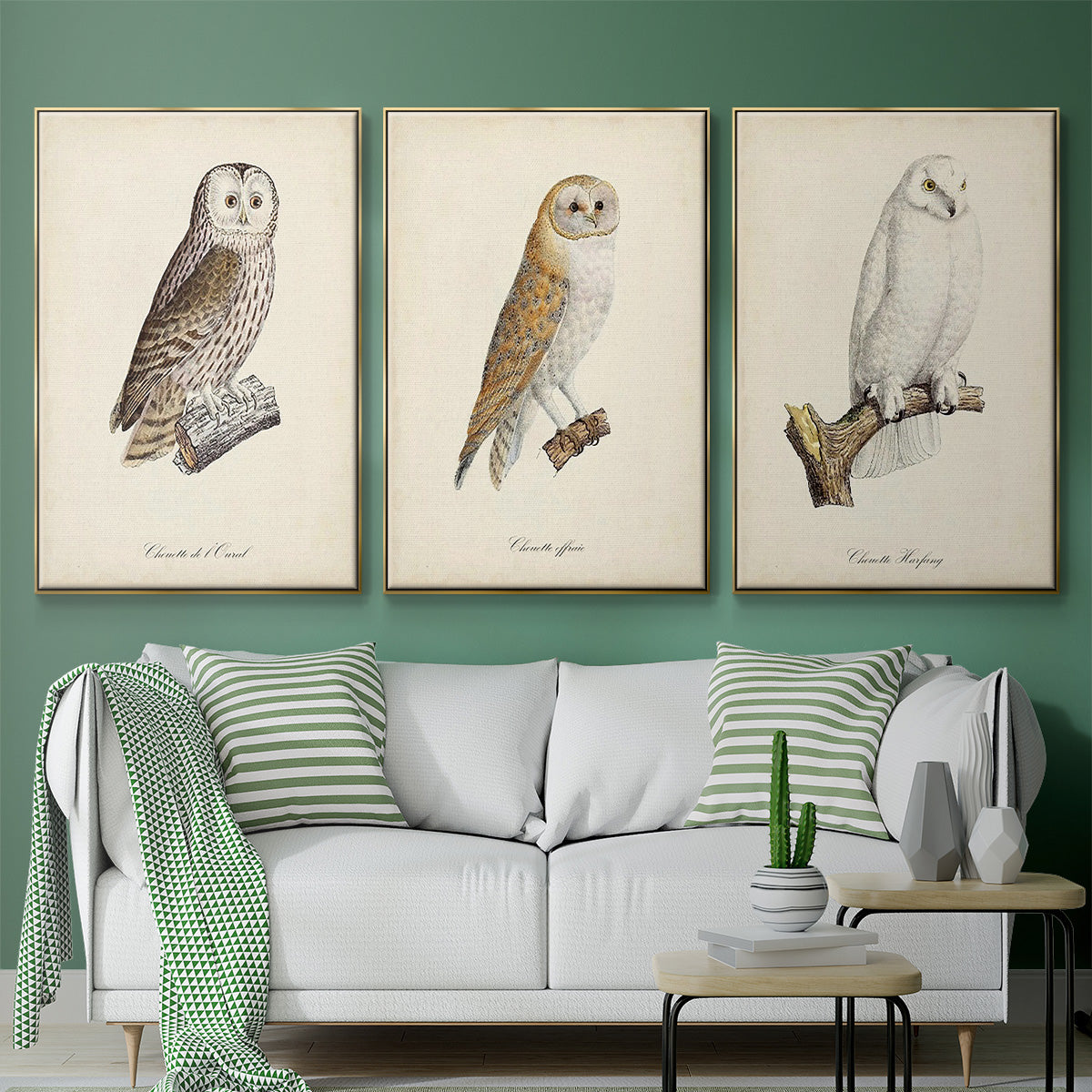 French Owls IV - Floater Framed Canvas Set
