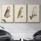 French Owls IV - Floater Framed Canvas Set