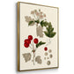 Leaves & Berries I - Floater Framed Canvas Set