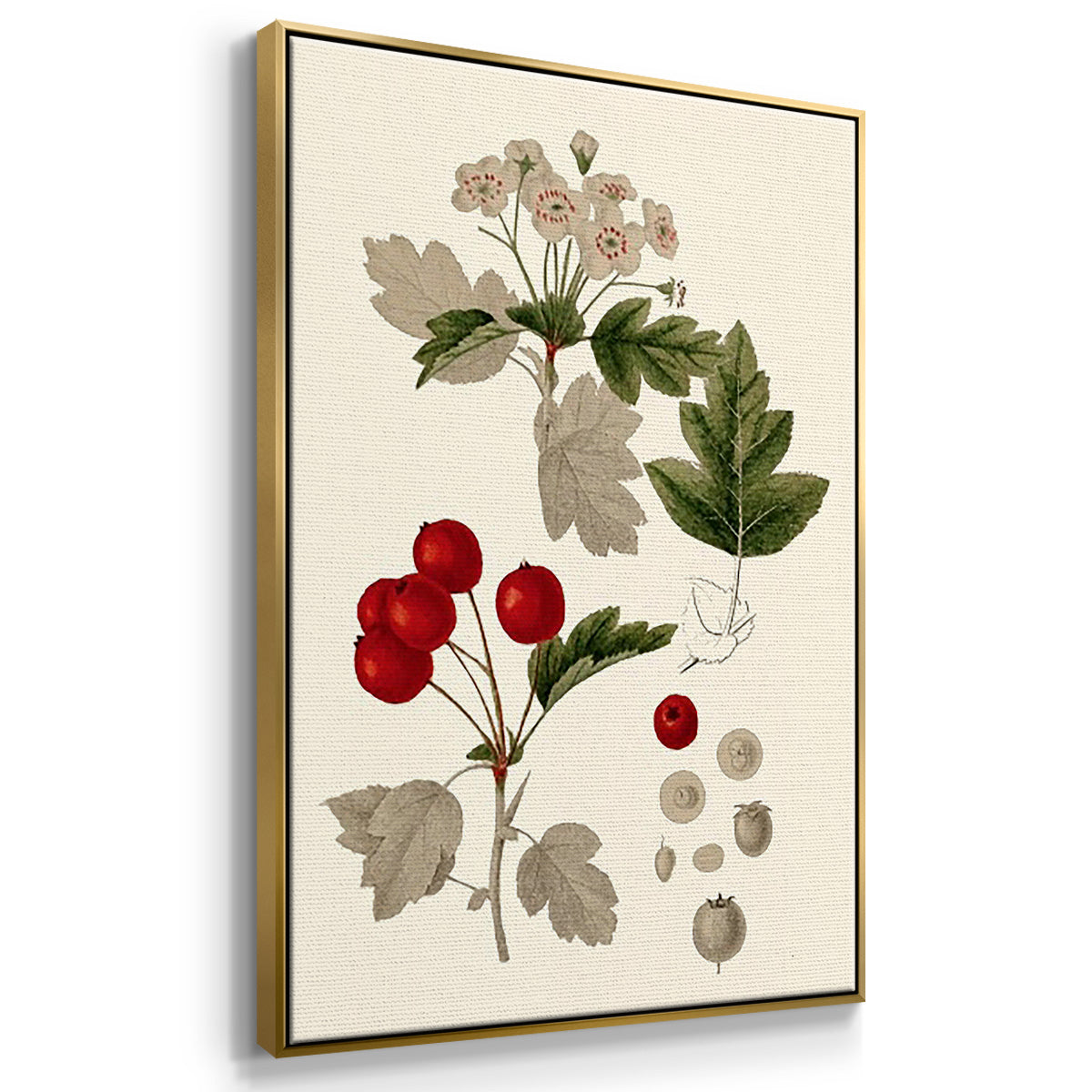 Leaves & Berries I - Floater Framed Canvas Set