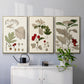 Leaves & Berries I - Floater Framed Canvas Set