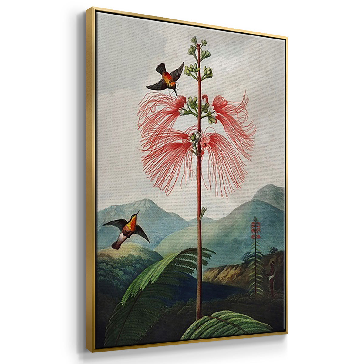 Temple of Flora VI - Floater Framed Canvas Set