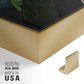 Temple of Flora VI - Floater Framed Canvas Set