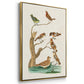 Antique Birds in Nature I - Floater Framed Canvas Set