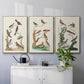 Antique Birds in Nature I - Floater Framed Canvas Set