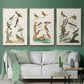 Antique Birds in Nature I - Floater Framed Canvas Set
