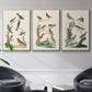Antique Birds in Nature I - Floater Framed Canvas Set