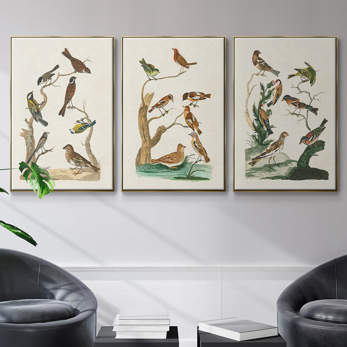 Antique Birds in Nature I - Floater Framed Canvas Set