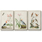 Antique Birds in Nature IV - Floater Framed Canvas Set