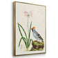 Antique Birds in Nature IV - Floater Framed Canvas Set