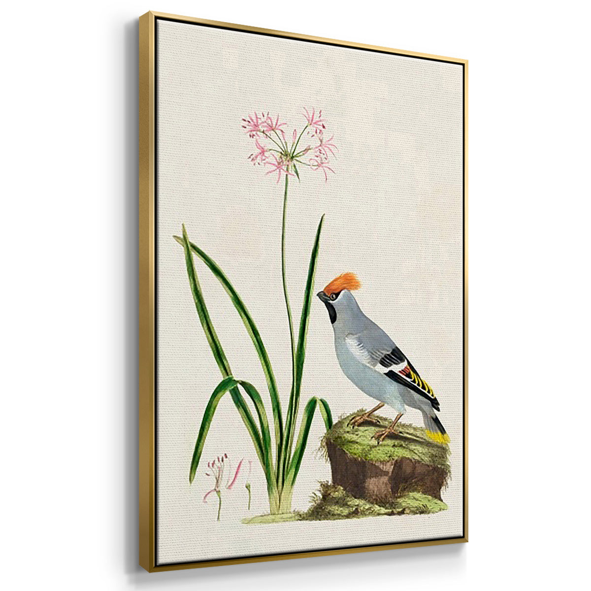 Antique Birds in Nature IV - Floater Framed Canvas Set