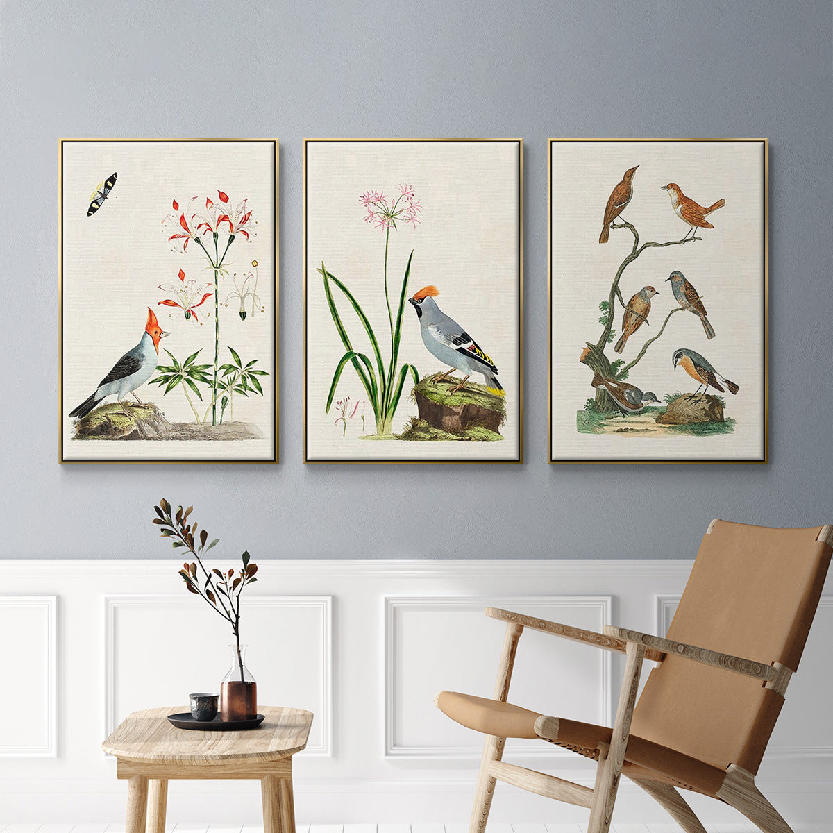 Antique Birds in Nature IV - Floater Framed Canvas Set