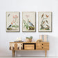 Antique Birds in Nature IV - Floater Framed Canvas Set