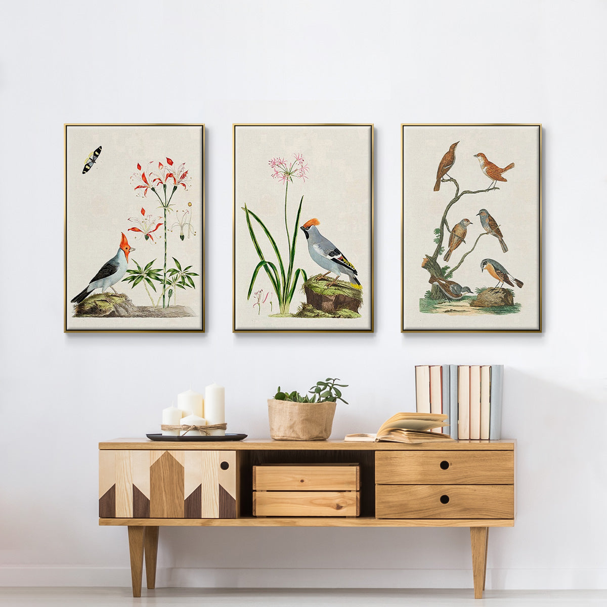 Antique Birds in Nature IV - Floater Framed Canvas Set