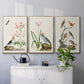 Antique Birds in Nature IV - Floater Framed Canvas Set