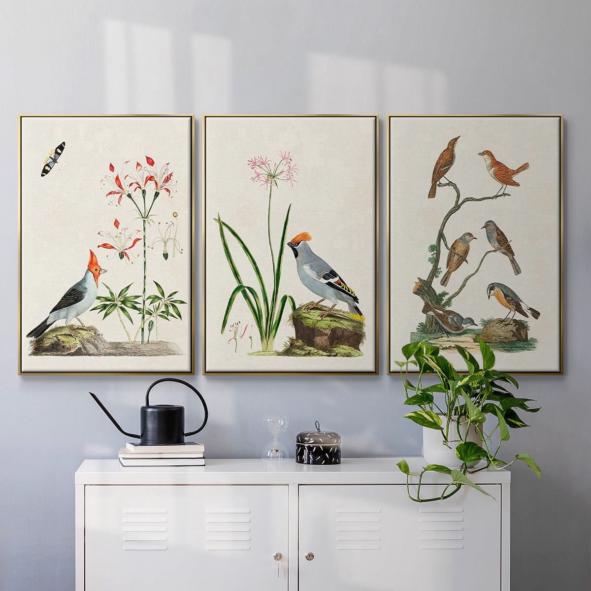 Antique Birds in Nature IV - Floater Framed Canvas Set