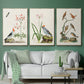 Antique Birds in Nature IV - Floater Framed Canvas Set