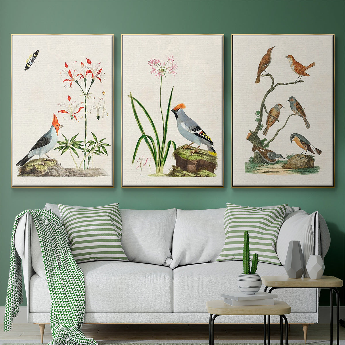 Antique Birds in Nature IV - Floater Framed Canvas Set