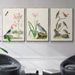 Antique Birds in Nature IV - Floater Framed Canvas Set