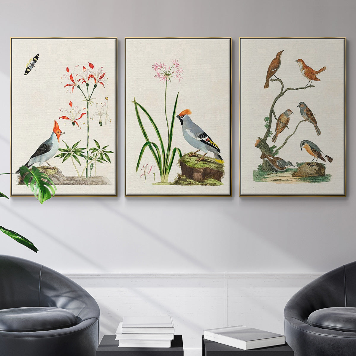 Antique Birds in Nature IV - Floater Framed Canvas Set