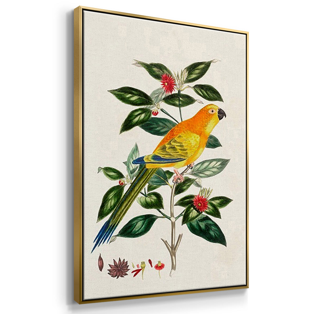Bird in Habitat III - Floater Framed Canvas Set