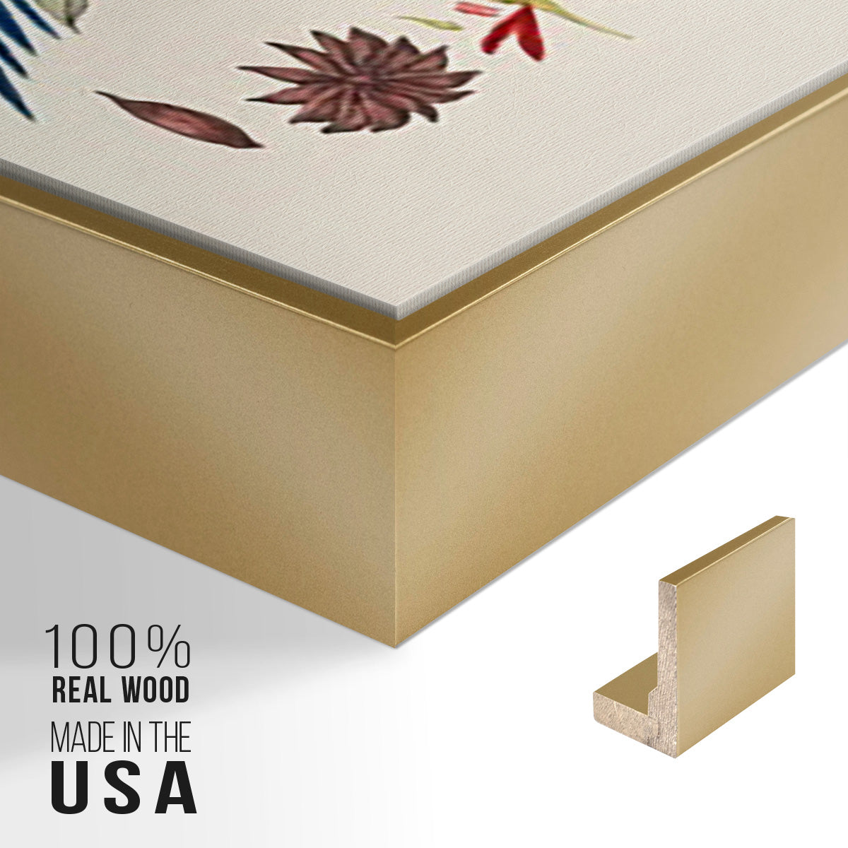 Bird in Habitat III - Floater Framed Canvas Set