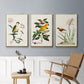 Bird in Habitat III - Floater Framed Canvas Set