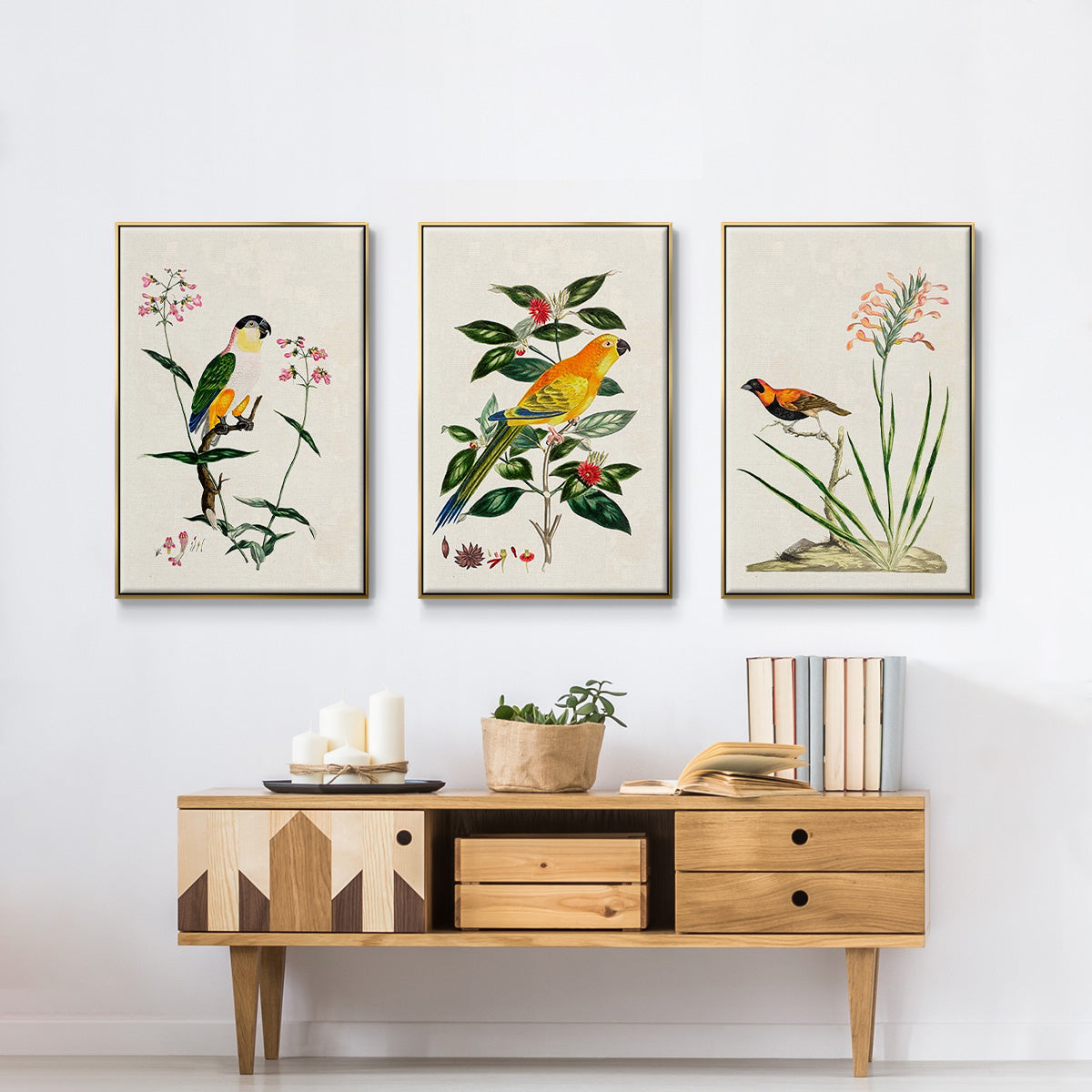 Bird in Habitat III - Floater Framed Canvas Set