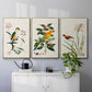 Bird in Habitat III - Floater Framed Canvas Set
