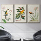 Bird in Habitat III - Floater Framed Canvas Set