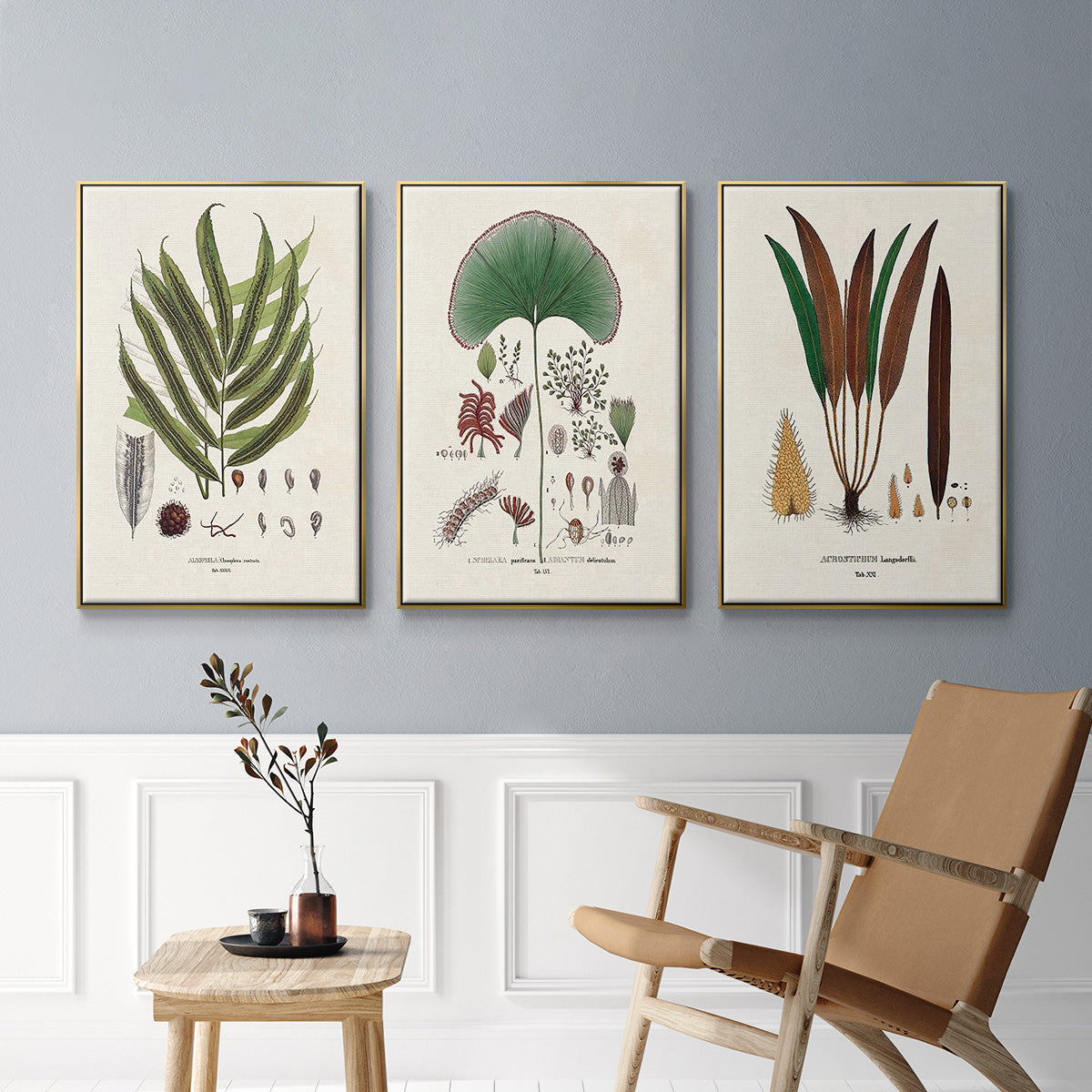 Botanical Society Ferns I - Floater Framed Canvas Set