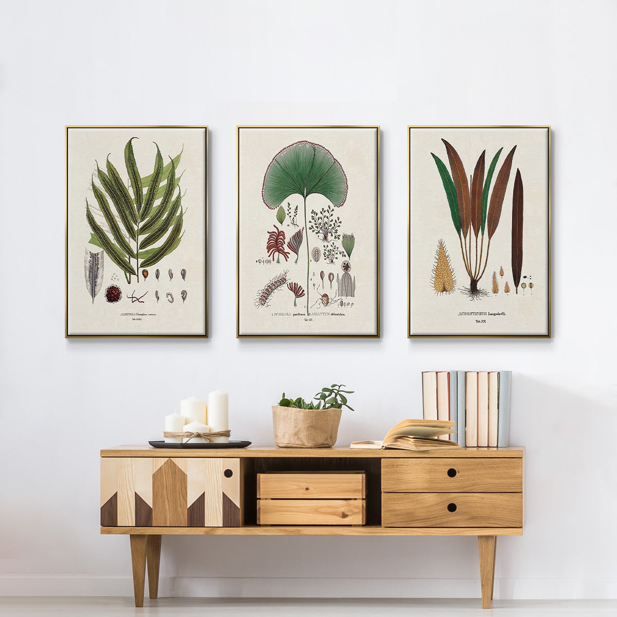 Botanical Society Ferns I - Floater Framed Canvas Set