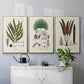 Botanical Society Ferns I - Floater Framed Canvas Set