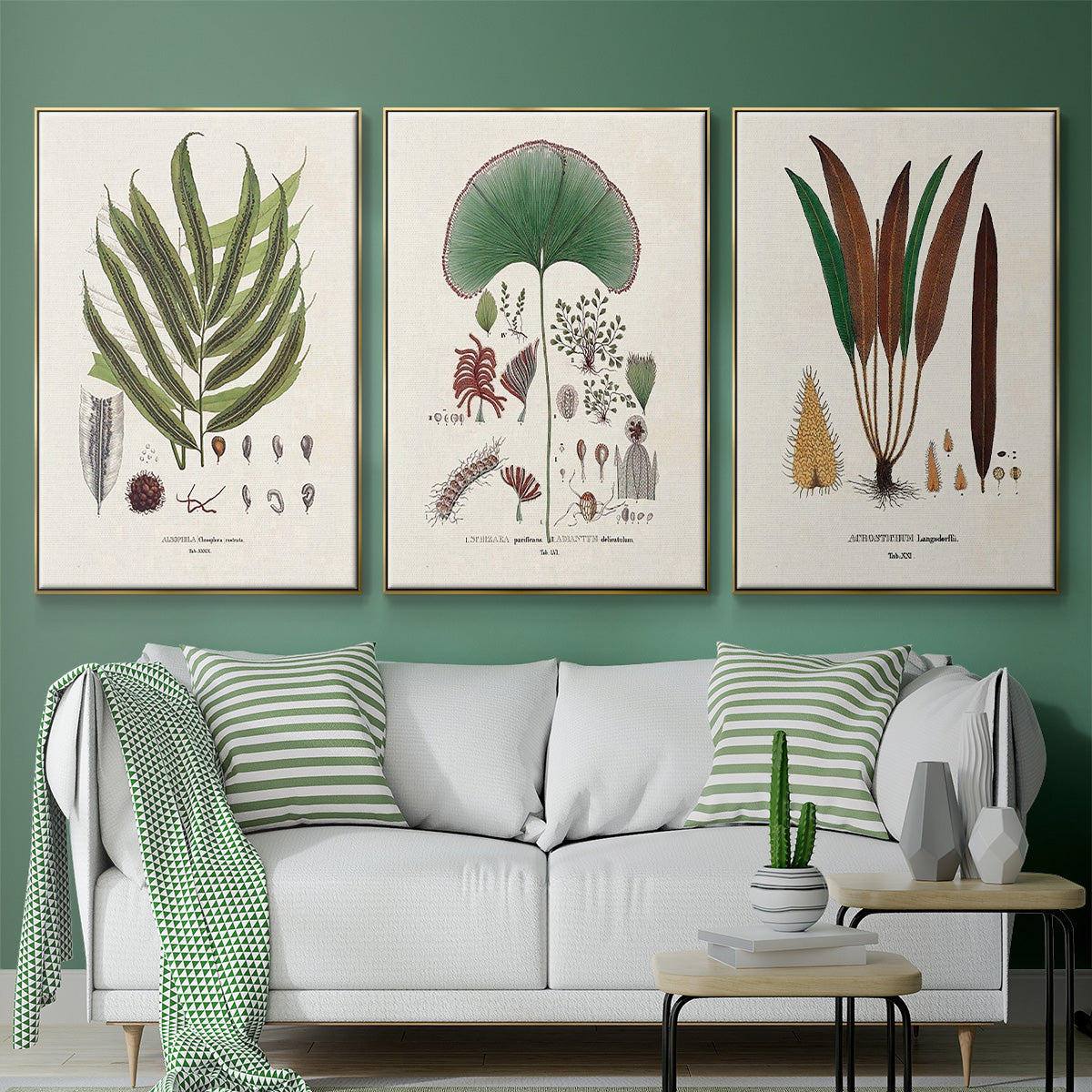Botanical Society Ferns I - Floater Framed Canvas Set