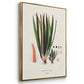 Botanical Society Ferns IV - Floater Framed Canvas Set