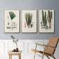 Botanical Society Ferns IV - Floater Framed Canvas Set