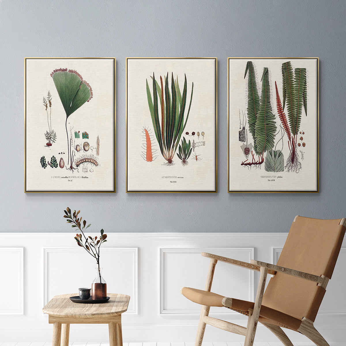 Botanical Society Ferns IV - Floater Framed Canvas Set