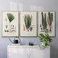 Botanical Society Ferns IV - Floater Framed Canvas Set