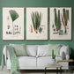 Botanical Society Ferns IV - Floater Framed Canvas Set