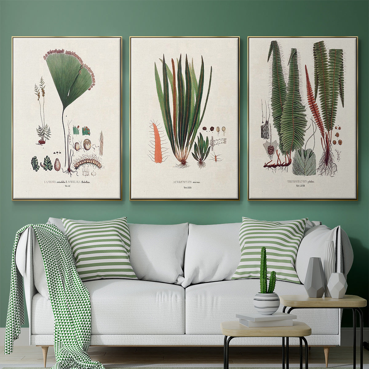 Botanical Society Ferns IV - Floater Framed Canvas Set