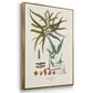 Botanical Society Ferns VI - Floater Framed Canvas Set